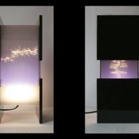 Lanterne aux Esprits vue de face et coté concept végétal 3