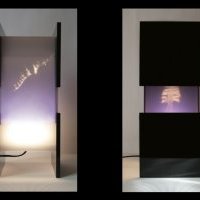 Lanterne aux Esprits vue de face et coté concept végétal 2