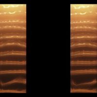 Colonne Nova détail waves 2 et waves 3 variante